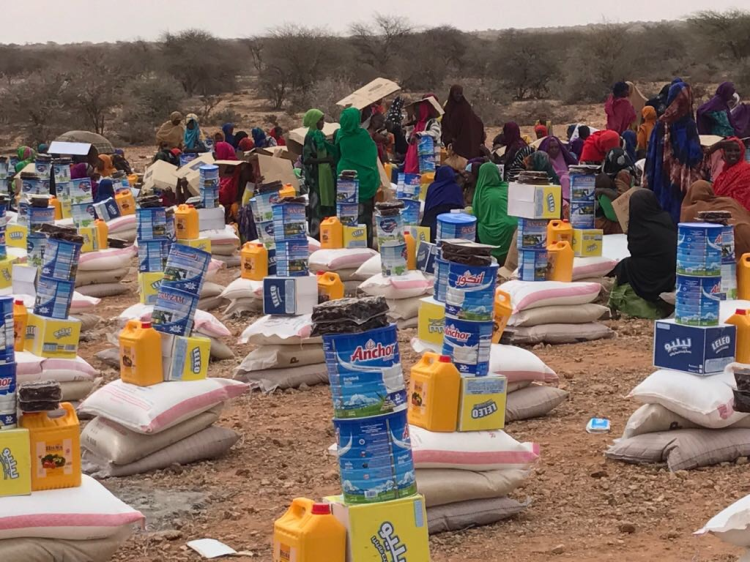 Dar Al Ber launches Dh2.8m relief campaign for famine-hit Somali people